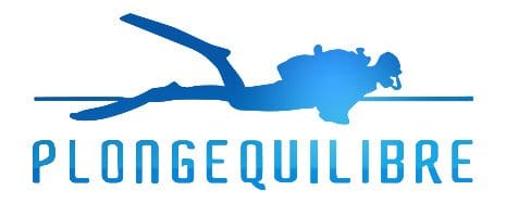 Plonge-equilibre